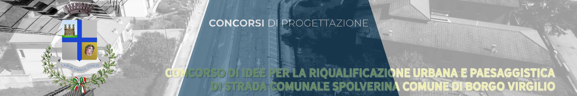 CONCORSO DI IDEE PER LA RIQUALIFICAZIONE URBANA E PAESAGGISTICA DI STRADA COMUNALE SPOLVERINA PRESSO LA FRAZIONE DI CERESE COMUNE DI BORGO VIRGILIO